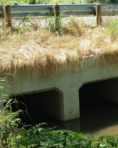 Island Bayou Road Culvert Replacement