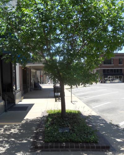 Downtown Square Sidewalks