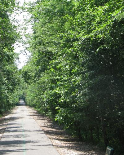 Recreational Trail Bridge over US 271 and 0.8 Mile Extension