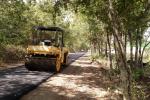 Blossom Rail Trail compaction